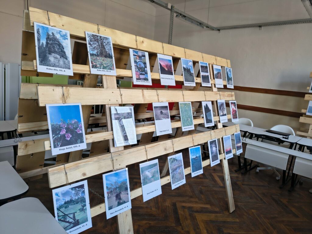 Safari fotografic în natură și expoziție